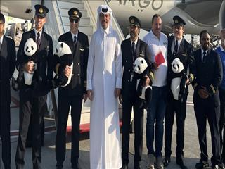 خرسی که میهمان ویژه جام جهانی 2022 قطر شد+عکس